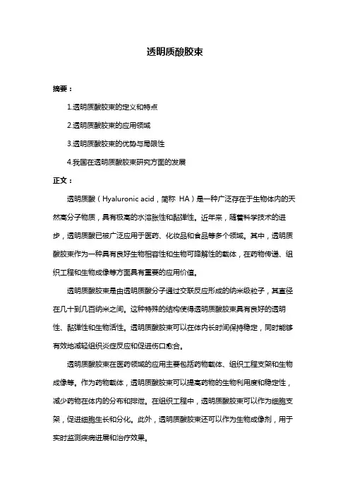 透明质酸胶束