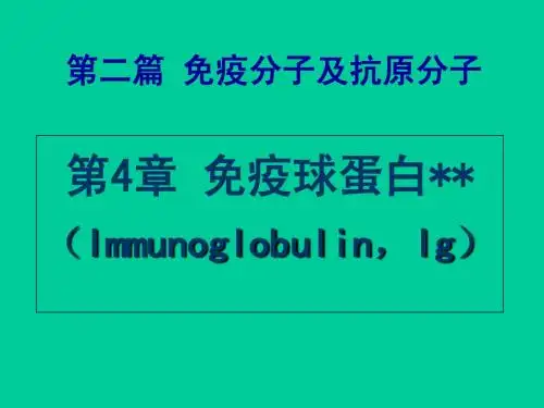 第04章 免疫球蛋白