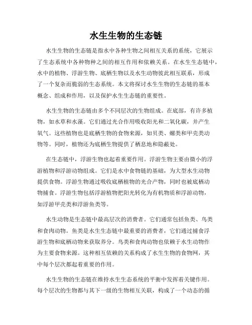 水生生物的生态链