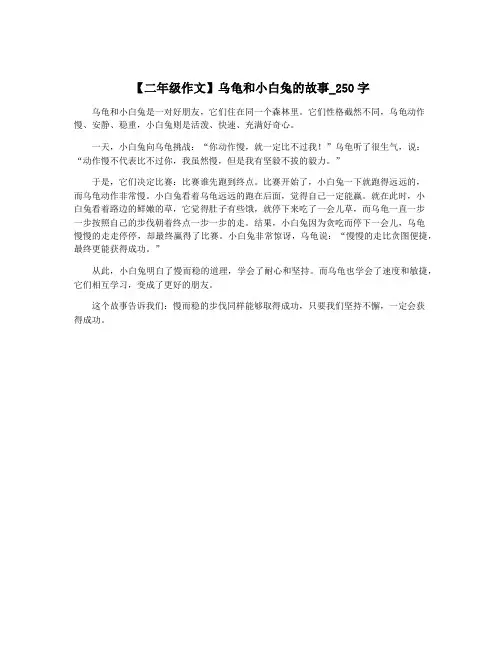 【二年级作文】乌龟和小白兔的故事_250字