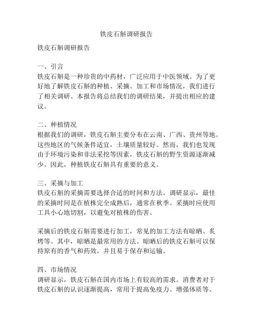 铁皮石斛调研报告