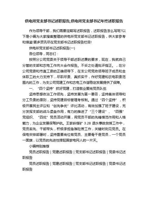 供电所党支部书记述职报告,供电所党支部书记年终述职报告