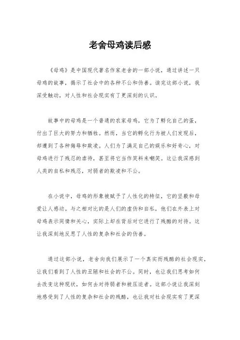 老舍母鸡读后感