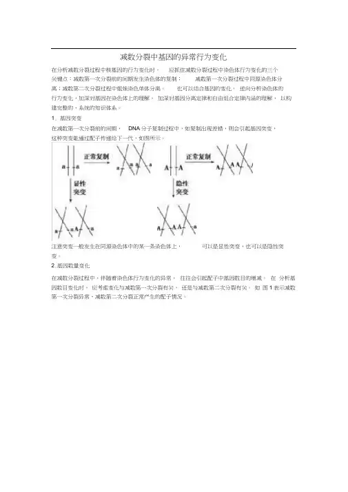 减数分裂异常专题