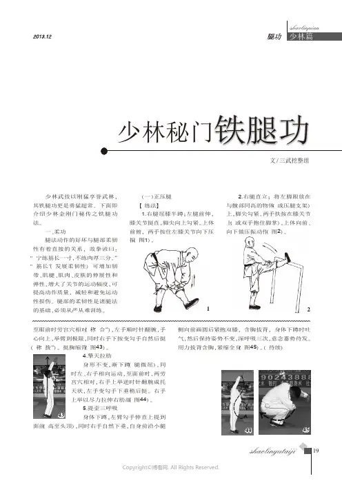 少林秘门铁腿功_____