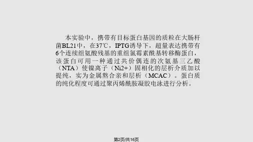 蛋白质的表达纯化.pptx