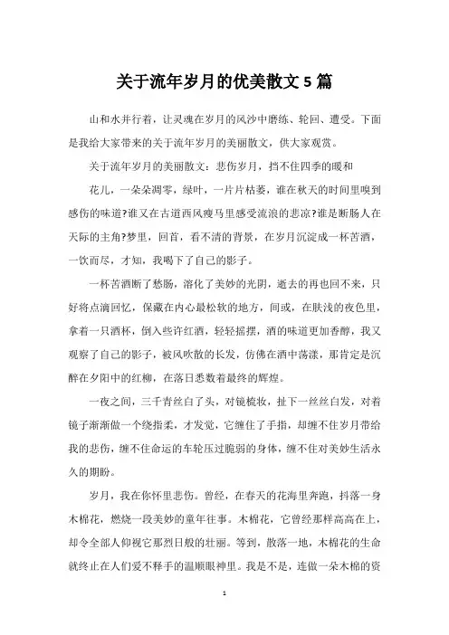 关于流年岁月的优美散文5篇