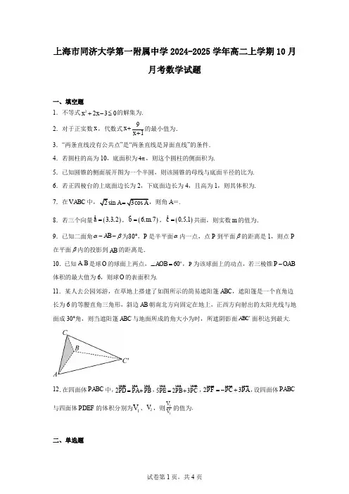 上海市同济大学第一附属中学2024-2025学年高二上学期10月月考数学试题