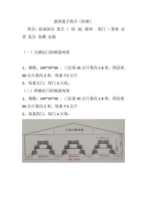 蛋鸡笼子阶梯简介