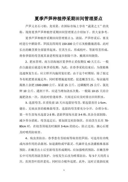 夏季芦笋种植停采期田间管理要点