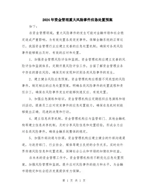 2024年资金管理重大风险事件应急处置预案