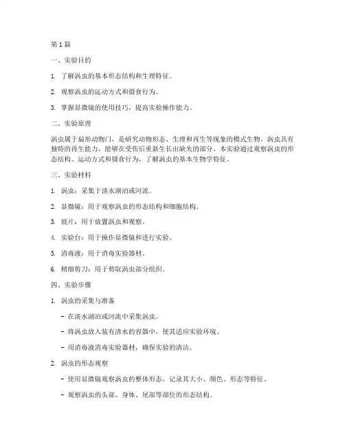 涡虫的观察实验报告(3篇)
