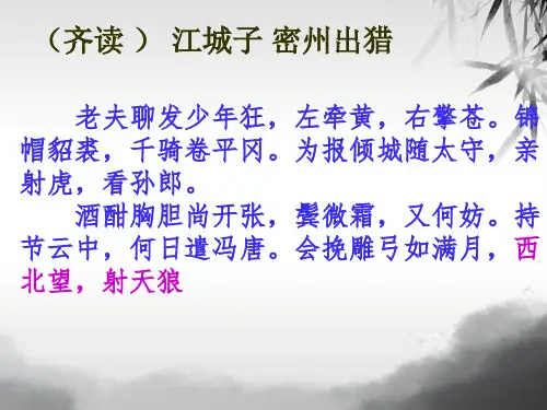 统编版高中语文必修上册《念奴娇·赤壁怀古》PPT全文课件(38张)