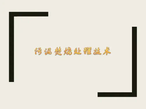 污泥焚烧处理技术