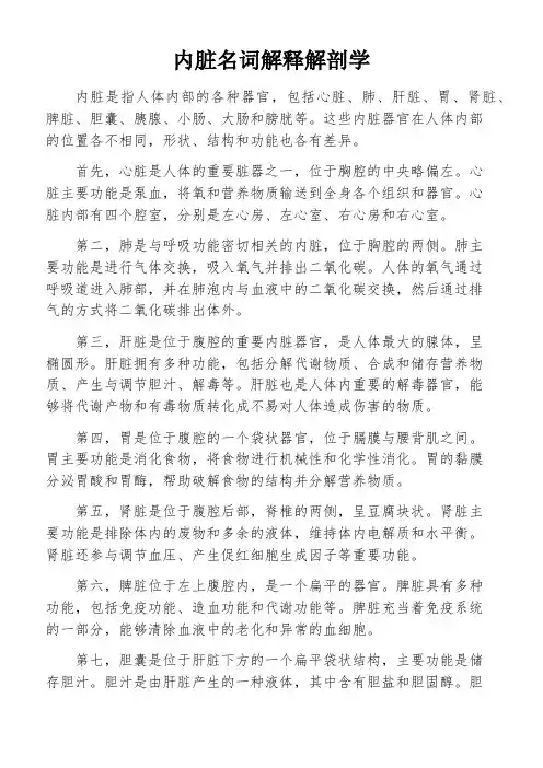 内脏名词解释解剖学