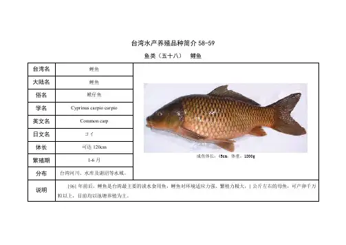 台湾水产养殖品种简介58-59(精)