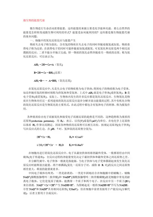 微生物的能量代谢