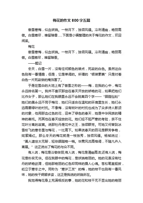 梅花的作文800字五篇