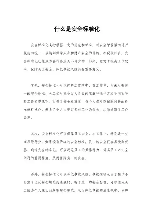 什么是安全标准化