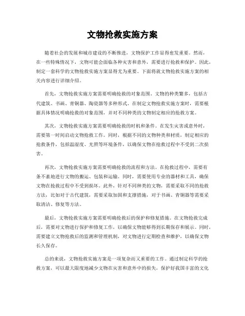 文物抢救实施方案