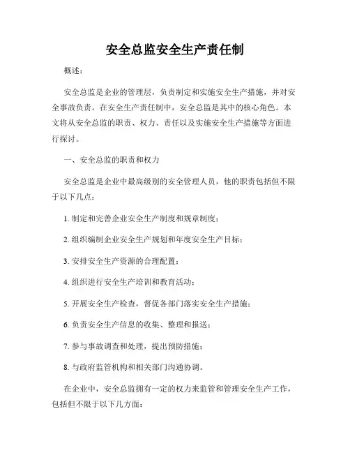 安全总监安全生产责任制