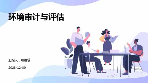 环境审计与评估