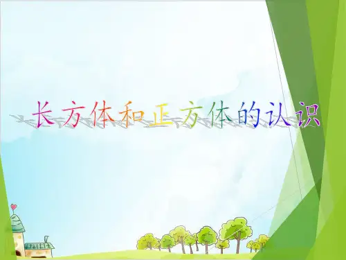 六年级【上】数学- 长方体和正方体的认识_苏教版-优秀课件(16张)