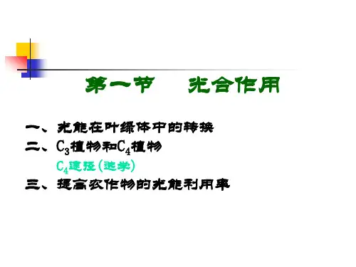 北京四中光合与固氮ppt课件