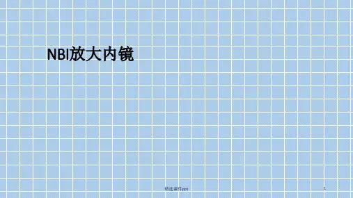 NBI放大内镜ppt课件