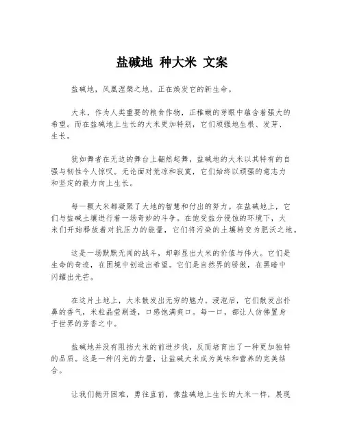 盐碱地 种大米 文案