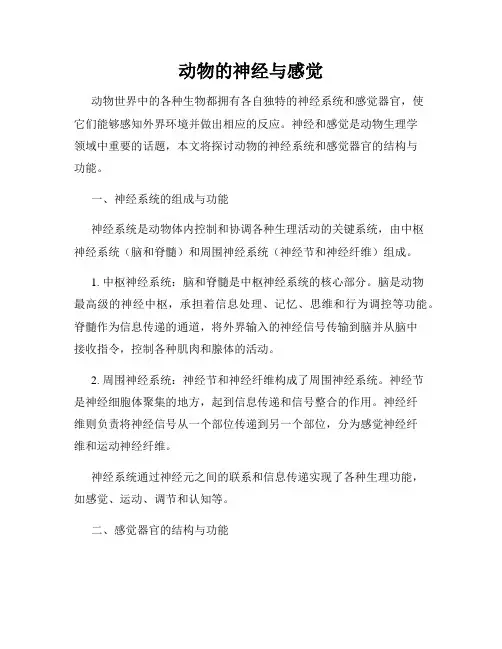 动物的神经与感觉