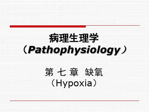 病理生理学第七章 缺氧【66页】