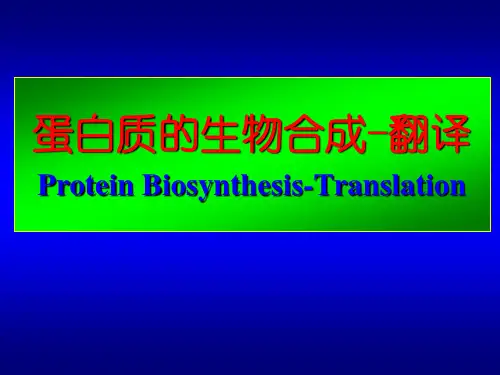 生物化学分子生物学部分课件--蛋白质代谢