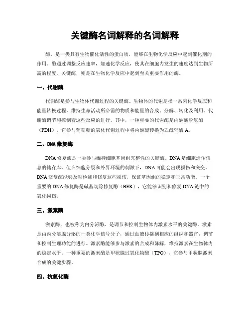 关键酶名词解释的名词解释