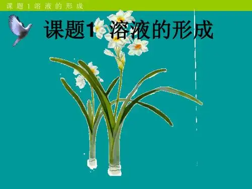 (鲁教版)九年级化学全册第一单元溶液第一节溶液的形成课件
