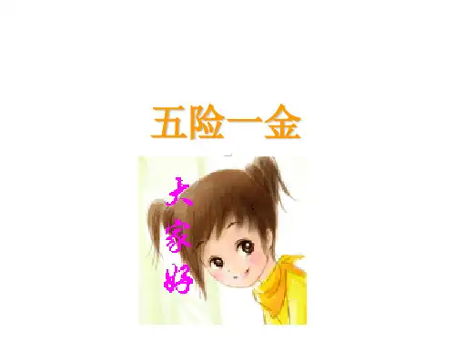 五险一金社保基础知识课程教材培训模板课件演示文档幻灯片资料.