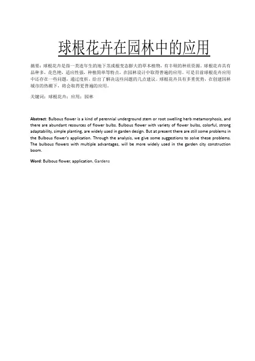 球根花卉在园林中的应用