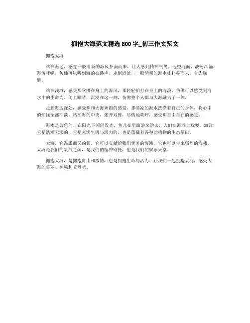 拥抱大海范文精选800字_初三作文范文
