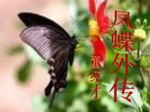 高三语文凤蝶外传1
