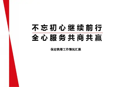 保定铁塔工作情况汇报 