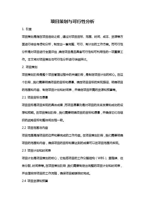 项目策划与可行性分析