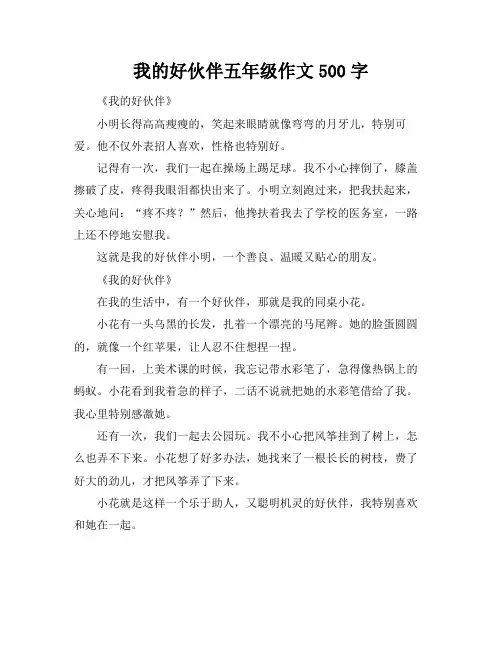 我的好伙伴五年级作文500字