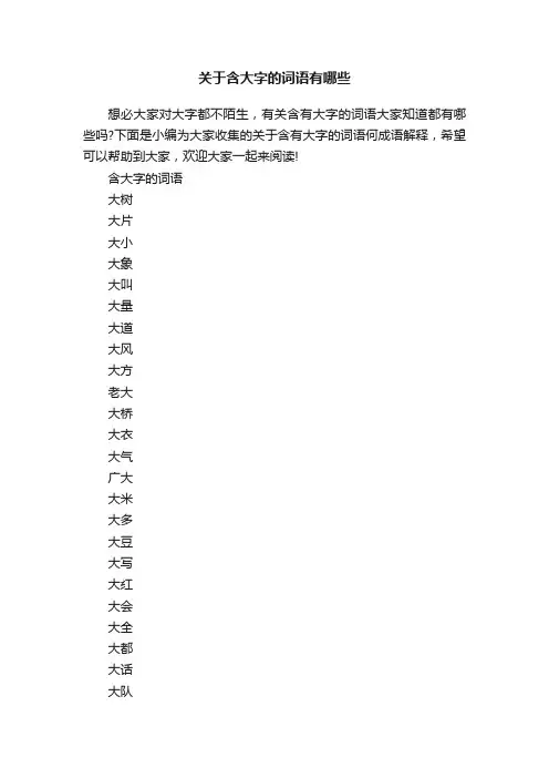 关于含大字的词语有哪些