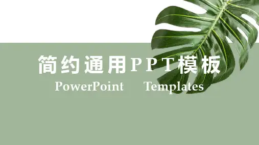 简约大气通用PPT模板