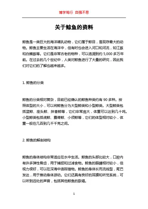 关于鲸鱼的资料