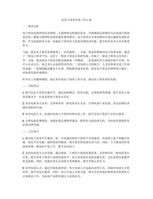 县电子商务年度工作计划