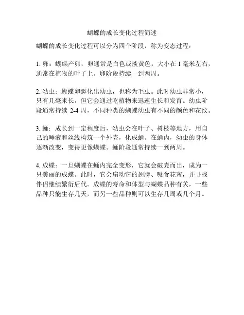 蝴蝶的成长变化过程简述
