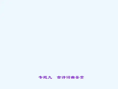 中考语文专题复习专题九-古诗词曲鉴赏市公开课一等奖市赛课金奖课件