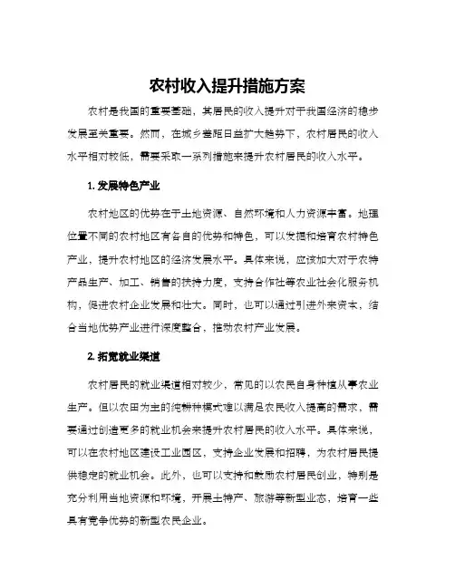 农村收入提升措施方案