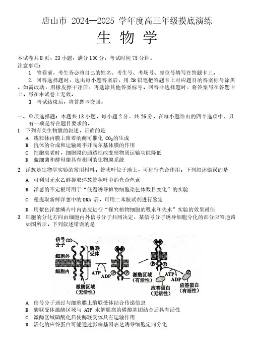 河北省唐山市2024-2025学年高三上学期摸底演练生物试题(无答案)